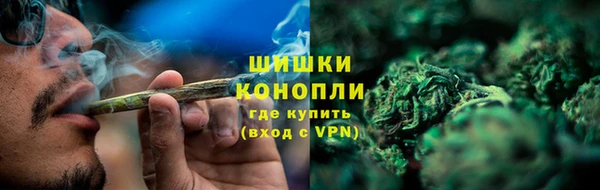 спиды Бородино