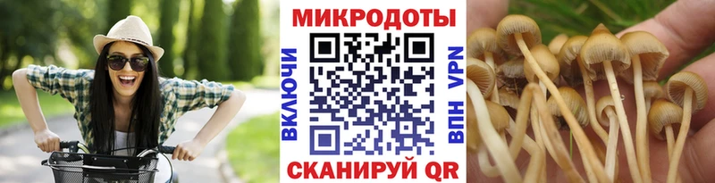 Псилоцибиновые грибы ЛСД  Новозыбков 